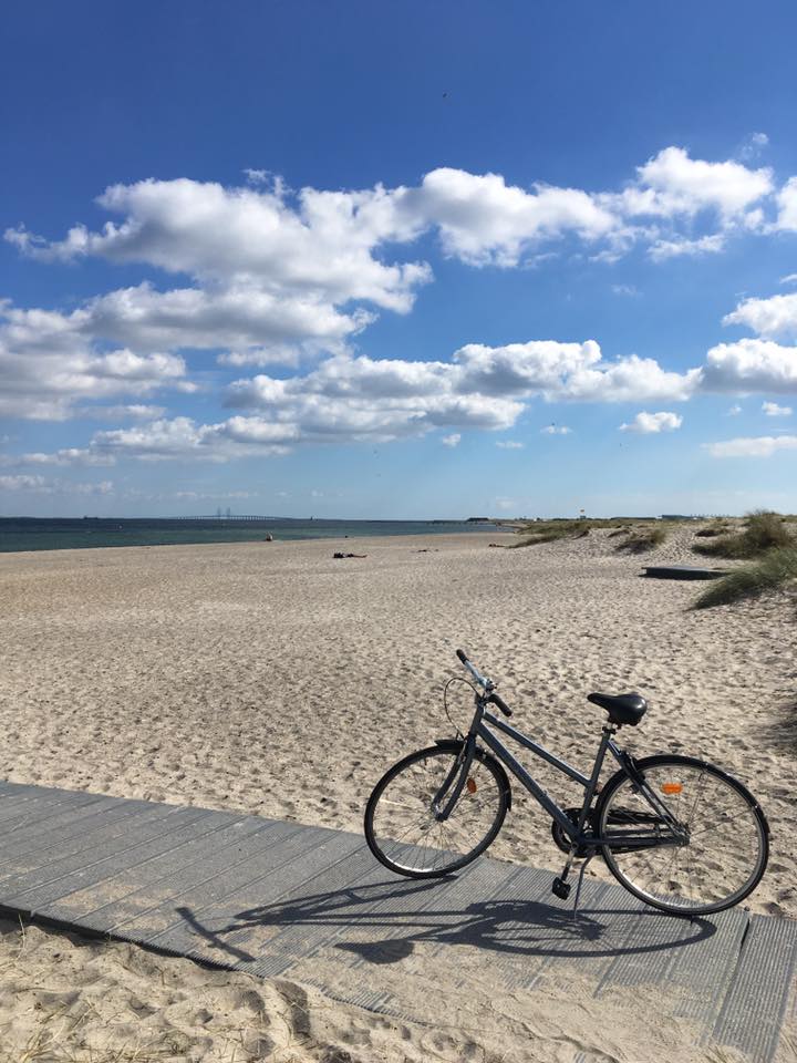 The beautiful Amager Beach (source - Pulped Travel)