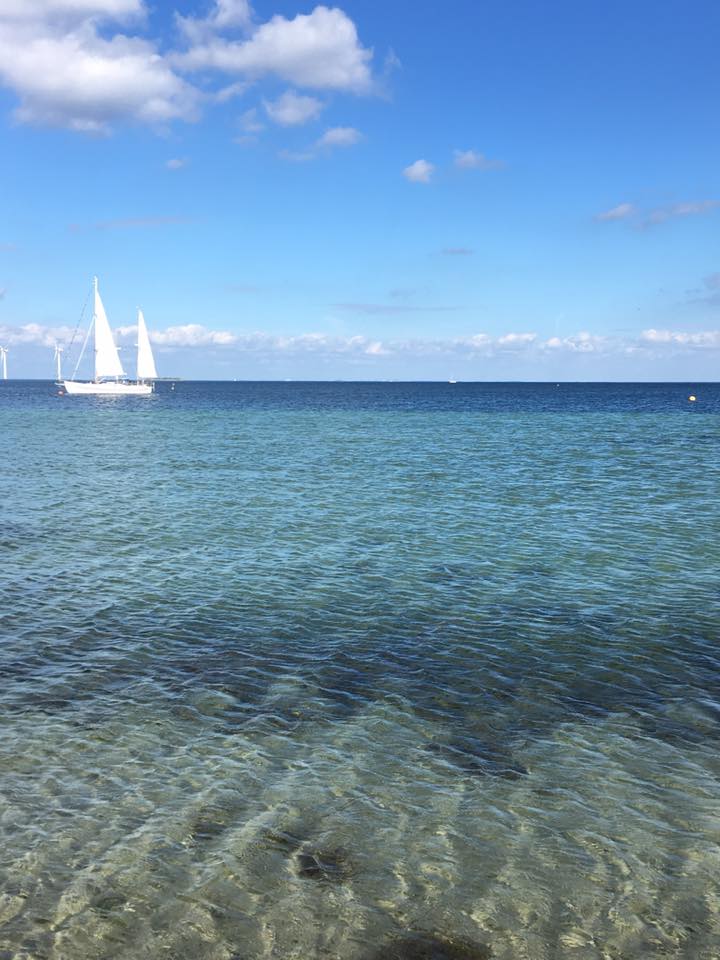 Amager Beach or is it the Caribbean? (source - Pulped Travel)