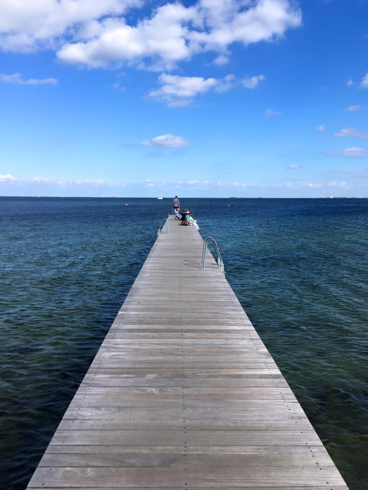 Dive in at Amager Beach (source - Pulped Travel)
