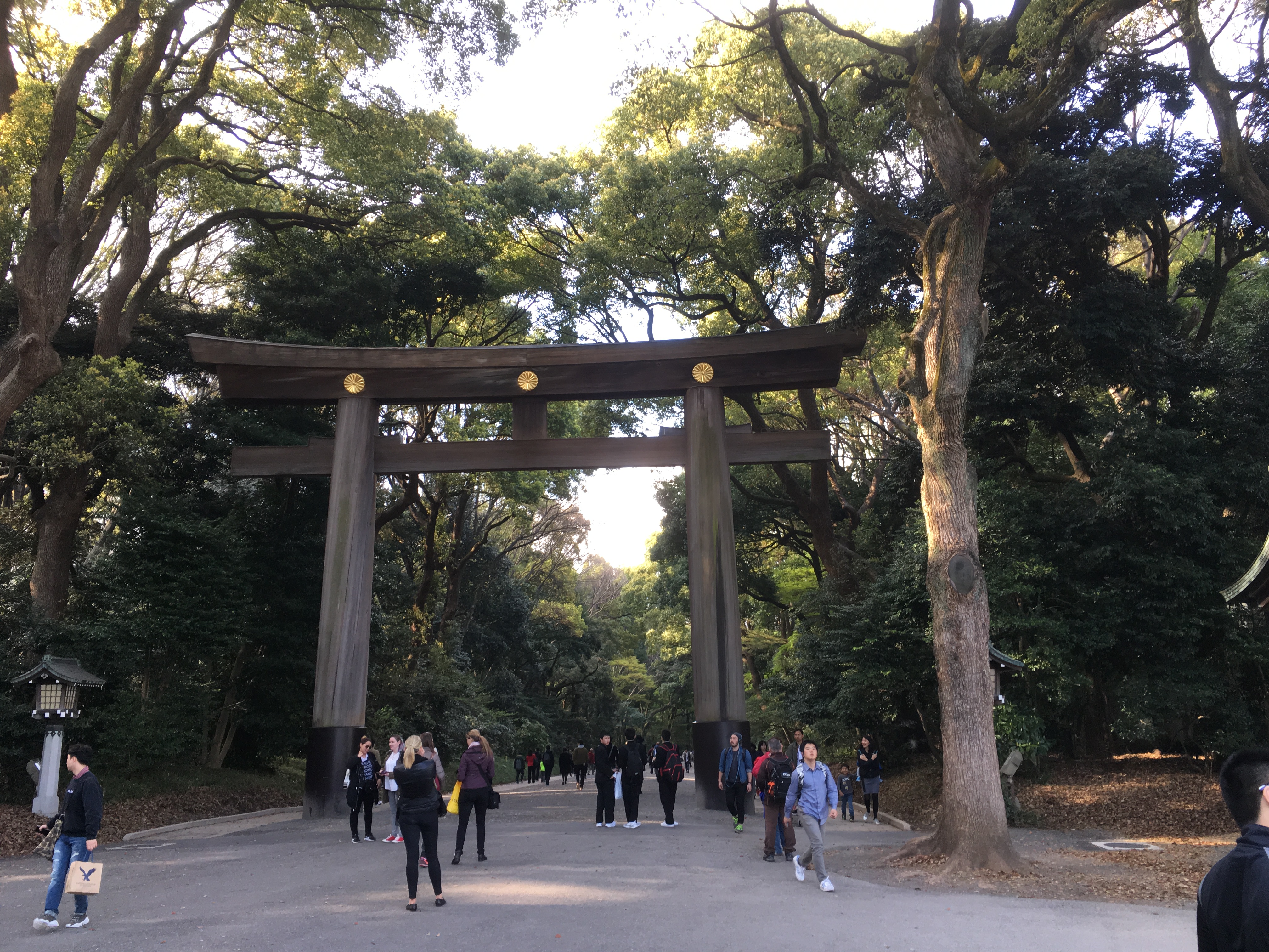 Meiji Jingu Shrine