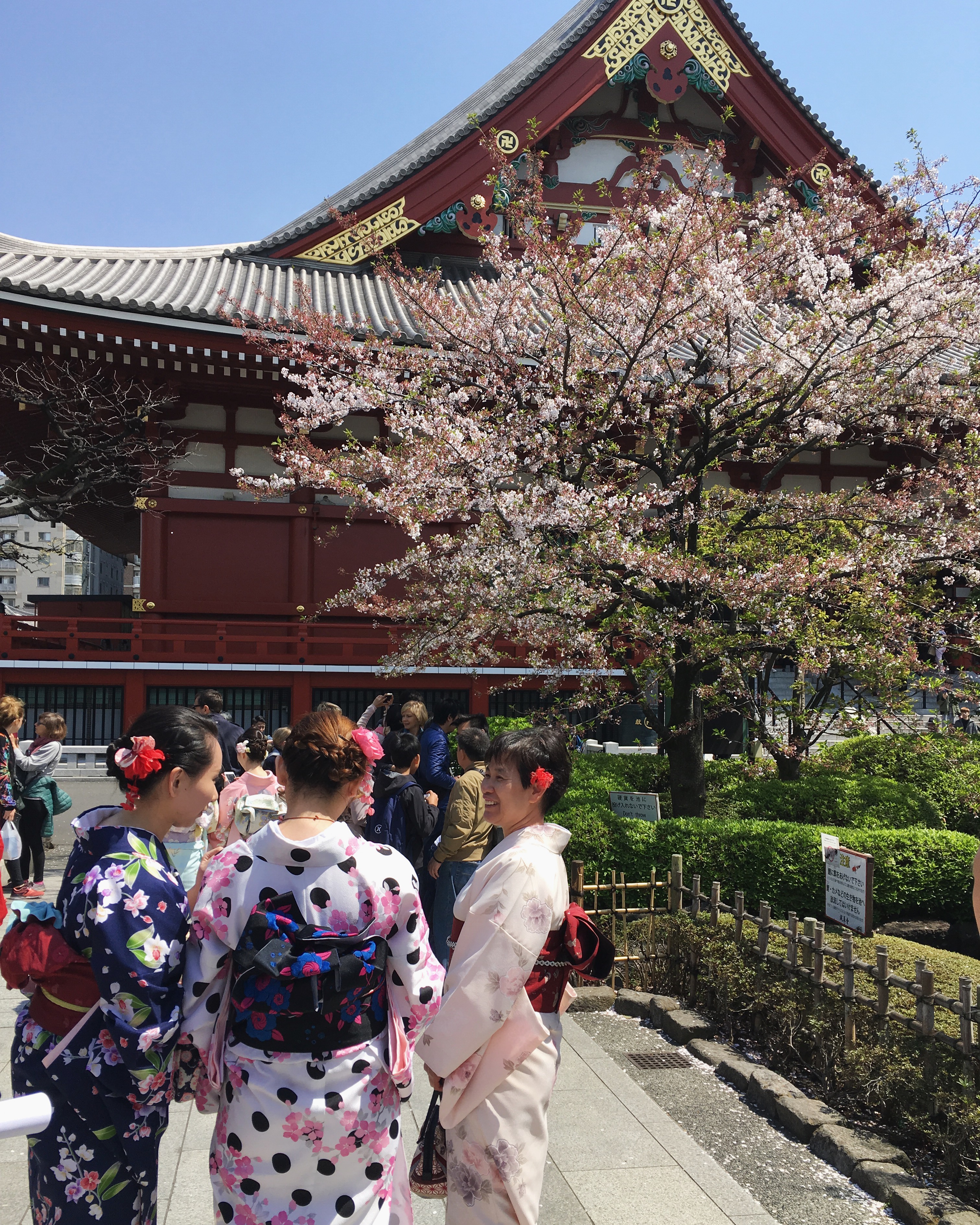 Sensoji Temple in Asakusa